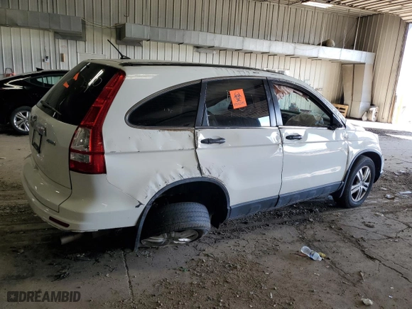 2010 Honda CR-V EX with VIN 5J6RE4H55AL013997, listed as a Copart auction lot 50903125 with 146,394 mi miles and Non Repairable. Bid and sale history available at carsss.com. Image 3.