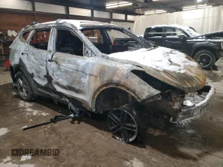2017 Hyundai Santa Fe 2.4L with VIN 5XYZUDLB1HG383534, listed as a Copart auction lot 56553055 with Not provided miles and Salvage title. Bid and sale history available at DreamBid. Image 4.