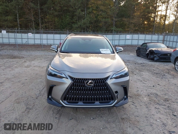 2023 Lexus NX with VIN 2T2GGCEZ1PC019526, listed as a IAAI auction lot 40700034 with 13,258 mi miles. Bid and sale history available at carsss.com. Image 12.