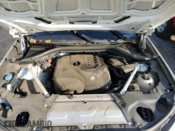 2020 BMW X4 xDrive30i with VIN 5UX2V1C05L9B34564, listed as a Copart auction lot 70014203 with 0 mi miles. Bid and sale history available at carsss.com. Image 11.