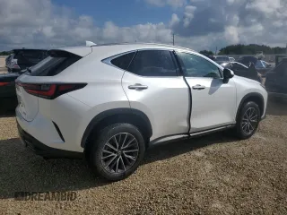 2023 Lexus NX with VIN JTJGDCAZ2P5009827, listed as a Copart auction lot 73701374 with Not Provided miles and Non Repairable. Bid and sale history available at carsss.com. Image 3.