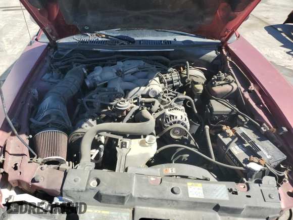 2003 Ford Mustang Standard with VIN 1FAFP40423F429146, listed as a Copart auction lot 54123015 with 0 mi miles and Clean Title. Bid and sale history available at carsss.com. Image 11.