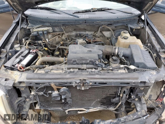 2009 Ford F-150 XL with VIN 1FTRF12W89KB74882, listed as a Copart auction lot 60924495 with 401,265 mi miles and Salvage title. Bid and sale history available at DreamBid. Image 11.