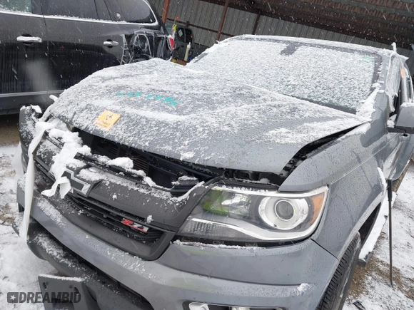 2018 Chevrolet Colorado 2WD Z71 with VIN 1GCGSDEN1J1143913, listed as a IAAI auction lot 41284645 with 0 mi miles. Bid and sale history available at carsss.com. Image 6.