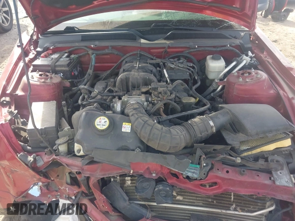 2007 Ford Mustang Deluxe with VIN 1ZVHT84NX75334058, listed as a IAAI auction lot 42187157 with Not provided miles and . Bid and sale history available at DreamBid. Image 10.