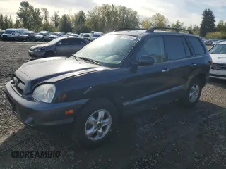2005 Hyundai Santa Fe GLS with VIN KM8SC73E95U936274, listed as a Copart auction lot 76955984 with 166,437 mi miles and Salvage Title. Bid and sale history available at carsss.com. Image 1.