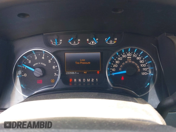 2013 Ford F-150 XL z VIN 1FTFX1EF8DKG01708, wystawiony jako IAAI lot #42091836 z przebiegiem 233 588 mil mil oraz . Historia ofert i sprzedaży dostępna na DreamBid. Obrazek 7.