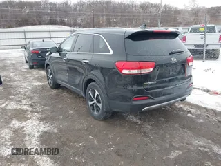 2016 Kia Sorento EX with VIN 5XYPH4A1XGG023621, listed as a IAAI auction lot 41583266 with 123,039 mi miles. Bid and sale history available at carsss.com. Image 3.