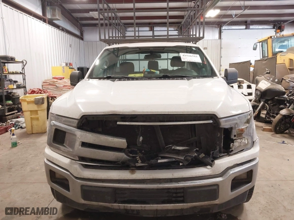 2019 Ford F-150 XL with VIN 1FTMF1C53KKE18847, listed as a IAAI auction lot 41526344 with 184,942 mi miles. Bid and sale history available at carsss.com. Image 12.
