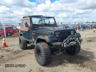 1993 Jeep Wrangler "S" with VIN 1J4FY19P5PP254999, listed as a IAAI auction lot 41742888 with 189,678 mi miles. Bid and sale history available at carsss.com. Image 1.