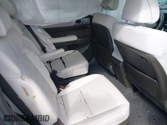 2024 Hyundai Santa Fe Calligraphy with VIN 5NMP5DG18RH008382, listed as a IAAI auction lot 42329590 with Not provided miles and . Bid and sale history available at DreamBid. Image 8.
