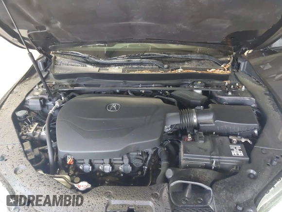 2015 Acura TLX Technology with VIN 19UUB2F53FA011945, listed as a IAAI auction lot 42012562 with 96,623 mi miles and . Bid and sale history available at DreamBid. Image 10.