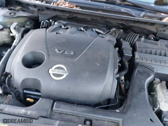 2009 Nissan Maxima 3.5 SV w/Sport Pkg with VIN 1N4AA51E79C839038, listed as a IAAI auction lot 41493994 with 999,999 mi miles. Bid and sale history available at carsss.com. Image 10.