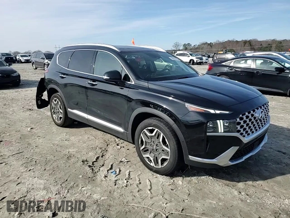 2022 Hyundai Santa Fe Limited with VIN 5NMS44AL5NH418106, listed as a Copart auction lot 88693165 with 48,256 mi miles and Salvage Title. Bid and sale history available at carsss.com. Image 12.