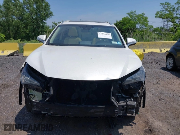 2018 Lexus NX 300 with VIN JTJBARBZ0J2168794, listed as a IAAI auction lot 42396198 with 88,704 mi miles and . Bid and sale history available at DreamBid. Image 12.
