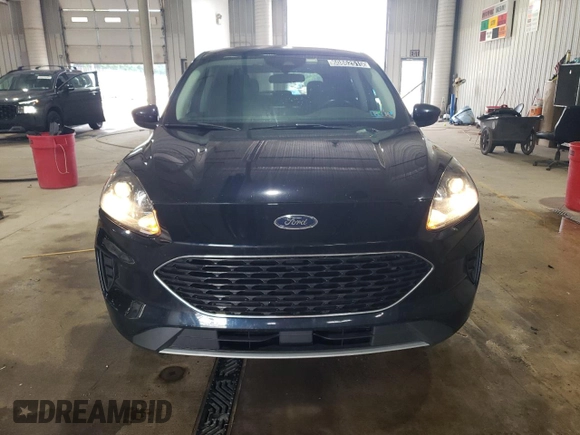 2021 Ford Escape SE with VIN 1FMCU0G69MUA68125, listed as a Copart auction lot 60862515 with 131,013 mi miles and Clean title. Bid and sale history available at DreamBid. Image 5.