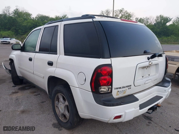 2008 Chevrolet TrailBlazer LT w/1LT with VIN 1GNDS13S782108928, listed as a IAAI auction lot 41999361 with 264,146 mi miles. Bid and sale history available at carsss.com. Image 3.