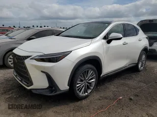 2022 Lexus NX with VIN JTJHKCEZ1N5002627, listed as a Copart auction lot 74983514 with 19,228 mi miles and Non Repairable. Bid and sale history available at carsss.com. Image 1.