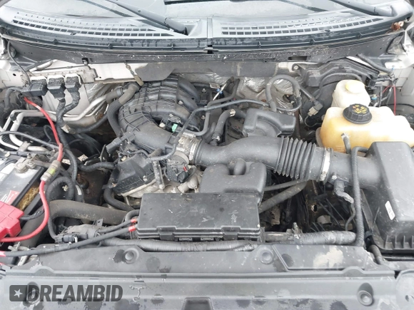 2014 Ford F-150 XL with VIN 1FTEX1EM7EFB45866, listed as a IAAI auction lot 41514448 with 114,722 mi miles and . Bid and sale history available at DreamBid. Image 10.