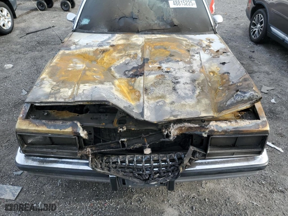 1985 Chevrolet El Camino with VIN 3GCCW80H0FS917778, listed as a Copart auction lot 48815225 with 0 mi miles and Clean Title. Bid and sale history available at carsss.com. Image 11.
