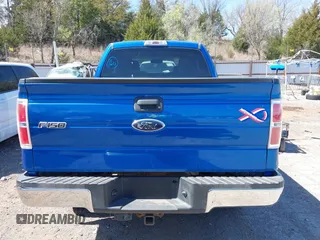 2010 Ford F-150 XL with VIN 1FTEX1E89AFD63806, listed as a IAAI auction lot 41851705 with 179,794 mi miles and . Bid and sale history available at DreamBid. Image 16.