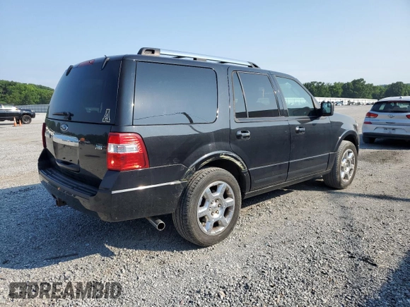 2014 Ford Expedition Limited with VIN 1FMJU2A59EEF25191, listed as a Copart auction lot 58979665 with 181,972 mi miles and Salvage title. Bid and sale history available at DreamBid. Image 3.