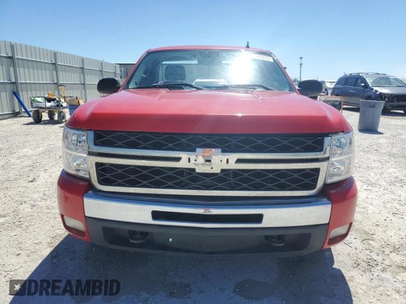 2009 Chevrolet Silverado 1500 with VIN 1GCEC24J19Z192940, listed as a Copart auction lot 49600375 with 145,002 mi miles and Salvage Title. Bid and sale history available at DreamBid. Image 5.