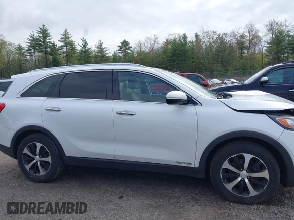 2017 Kia Sorento EX with VIN 5XYPHDA56HG229930, listed as a IAAI auction lot 42191578 with 161,417 mi miles and . Bid and sale history available at DreamBid. Image 13.