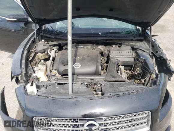 2009 Nissan Maxima SV with VIN 1N4AA51E99C807465, listed as a Copart auction lot 49768325 with Not Provided miles and Salvage Title. Bid and sale history available at DreamBid. Image 11.