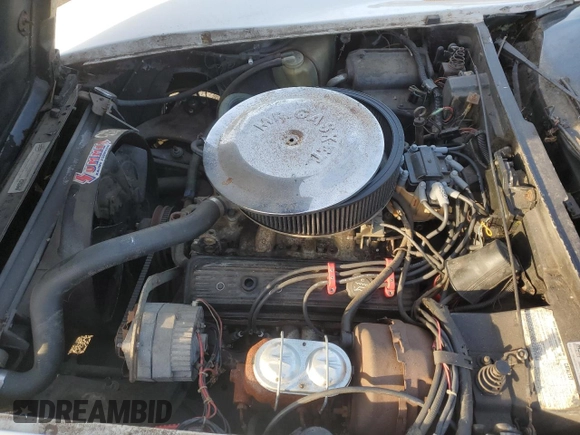 1977 Chevrolet Corvette with VIN 1237L5446940, listed as a Copart auction lot 42461375 with 47,599 mi miles and Salvage title. Bid and sale history available at DreamBid. Image 11.