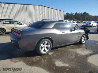 2013 Dodge Challenger R/T with VIN 2C3CDYBT8DH742126, listed as a Copart auction lot 41587655 with 0 mi miles and Salvage Title. Bid and sale history available at carsss.com. Image 3.