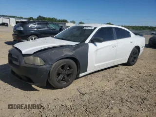 2014 Dodge Charger SE with VIN 2C3CDXBG5EH129699, listed as a Copart auction lot 53152845 with 173,216 mi miles and Salvage Title. Bid and sale history available at DreamBid. Image 1.