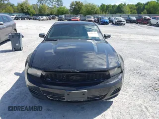 2011 Ford Mustang V6 with VIN 1ZVBP8AM5B5160365, listed as a IAAI auction lot 42003791 with 175,579 mi miles and . Bid and sale history available at carsss.com. Image 13.