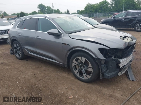 2022 Audi e-tron Premium with VIN WA1AAAGE1NB003892, listed as a IAAI auction lot 42391555 with 48,771 mi miles and . Bid and sale history available at DreamBid. Image 1.