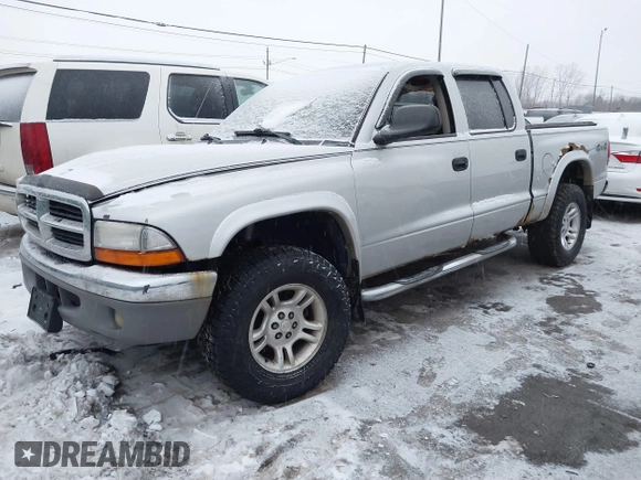2004 Dodge Dakota SLT with VIN 1D7HG48N34S665027, listed as a IAAI auction lot 41395509 with 128,064 mi miles. Bid and sale history available at carsss.com. Image 17.