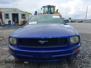 2005 Ford Mustang Deluxe with VIN 1ZVFT80N555143979, listed as a IAAI auction lot 42502001 with 201,721 mi miles and . Bid and sale history available at DreamBid. Image 6.