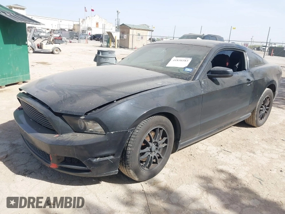 2013 Ford Mustang V6 with VIN 1ZVBP8AM5D5272067, listed as a IAAI auction lot 41830383 with 132,004 mi miles. Bid and sale history available at carsss.com. Image 2.
