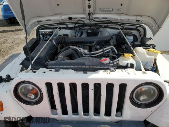 2002 Jeep Wrangler X with VIN 1J4FA39S72P759469, listed as a Copart auction lot 49701165 with 132,790 mi miles and Clean Title. Bid and sale history available at carsss.com. Image 11.