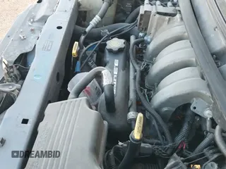 1996 Dodge Grand Caravan with VIN 1B4GP54R9TB328555, listed as a IAAI auction lot 40770123 with 184,323 mi miles and . Bid and sale history available at DreamBid. Image 19.