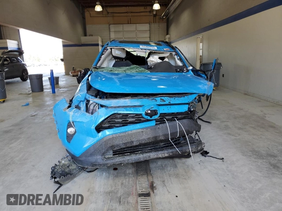 2019 Toyota RAV4 XLE with VIN 2T3P1RFV5KC009781, listed as a Copart auction lot 52262715 with Not Provided miles and Salvage Title. Bid and sale history available at DreamBid. Image 5.