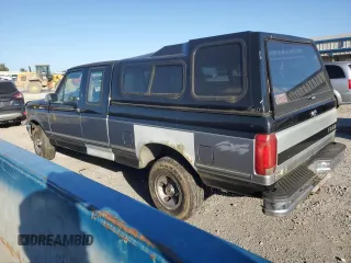 1995 Ford F-150 with VIN 1FTEX14N6SKB67175, listed as a Copart auction lot 73457384 with 292,677 mi miles and Salvage Title. Bid and sale history available at carsss.com. Image 2.