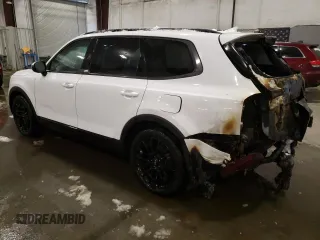 2022 Kia Telluride EX z VIN 5XYP3DHC3NG251298, wystawiony jako Copart lot #43789895 z przebiegiem 49 036 mil mil oraz Szkoda całkowita • Salvage title. Historia ofert i sprzedaży dostępna na DreamBid. Obrazek 2.