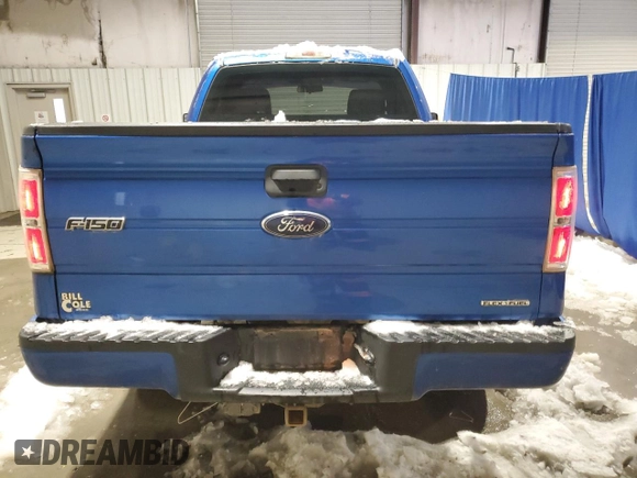 2013 Ford F-150 XL with VIN 1FTMF1EM2DFD99692, listed as a Copart auction lot 87008554 with 165,169 mi miles and Clean Title. Bid and sale history available at DreamBid. Image 10.