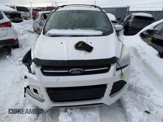 2013 Ford Escape SE with VIN 1FMCU9G97DUB99908, listed as a Copart auction lot 48123295 with Not Provided miles and Non Repairable. Bid and sale history available at DreamBid. Image 5.