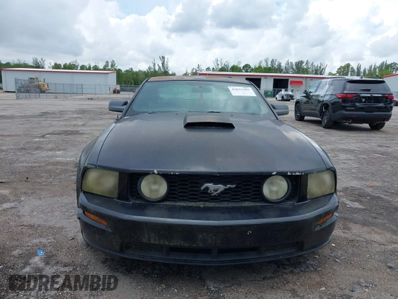 2007 Ford Mustang GT Deluxe with VIN 1ZVHT82H775289013, listed as a IAAI auction lot 42815485 with 167,390 mi miles and . Bid and sale history available at DreamBid. Image 12.