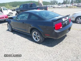 2006 Ford Mustang Standard with VIN 1ZVFT80N065182187, listed as a IAAI auction lot 42453637 with Not provided miles and . Bid and sale history available at DreamBid. Image 3.