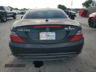 2013 Mercedes-Benz SLK 250 with VIN WDDPK4HA9DF061496, listed as a Copart auction lot 55575215 with 94,123 mi miles and Salvage Title. Bid and sale history available at DreamBid. Image 6.