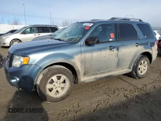 2010 Ford Escape Limited with VIN 1FMCU9E77AKD23121, listed as a Copart auction lot 50243295 with Not provided miles and Salvage title. Bid and sale history available at DreamBid. Image 1.