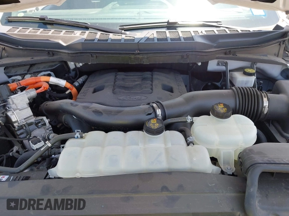 2021 Ford F-150 XL with VIN 1FTFW1ED8MFB12820, listed as a IAAI auction lot 42529140 with 16,892 mi miles and . Bid and sale history available at DreamBid. Image 10.