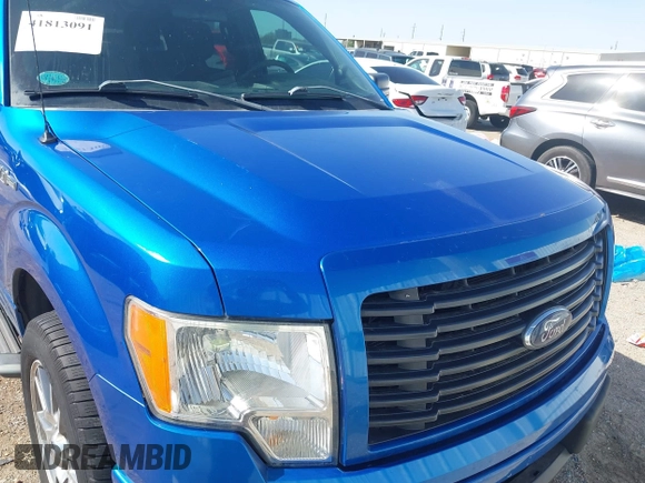 2014 Ford F-150 XL with VIN 1FTEW1CM9EFC15292, listed as a IAAI auction lot 41813091 with 125,339 mi miles. Bid and sale history available at carsss.com. Image 6.